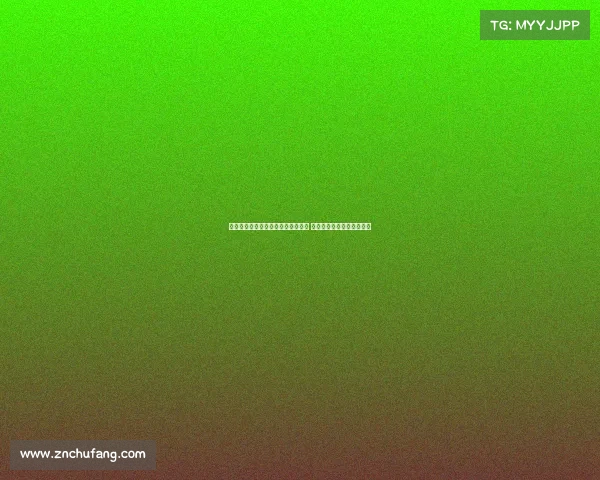 法国队赢得桥牌世锦赛冠军成功摘金 展现出非凡实力与默契配合