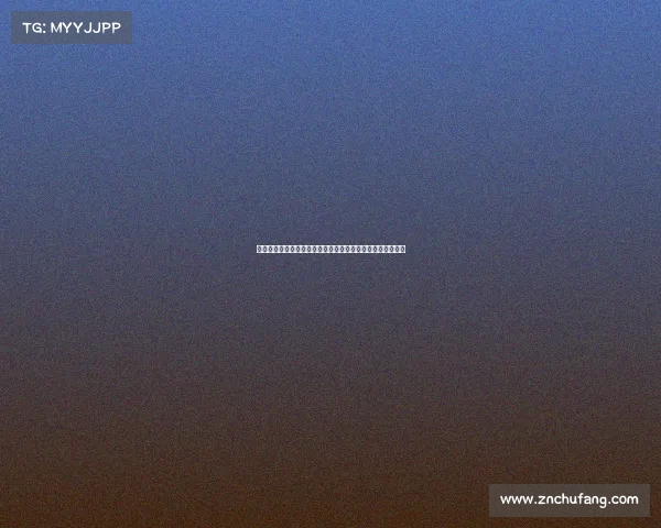 葡萄牙追授若塔勋位与功勋奖章并举行英雄广场揭幕仪式庆典